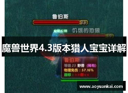 魔兽世界4.3版本猎人宝宝详解
